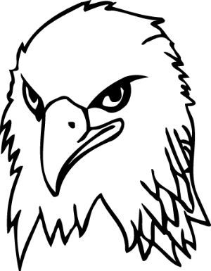 300x385 The Best Eagle Drawing Easy Ideas On Something