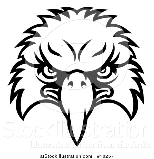 600x620 Vector Illustration Of A Black And White Bald Eagle Mascot Face By