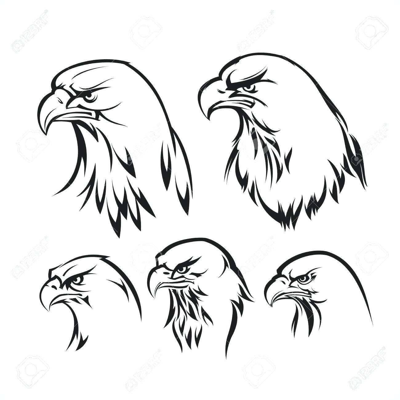 1300x1300 Printable Eagle Template Printable Eagles Coloring Pictures