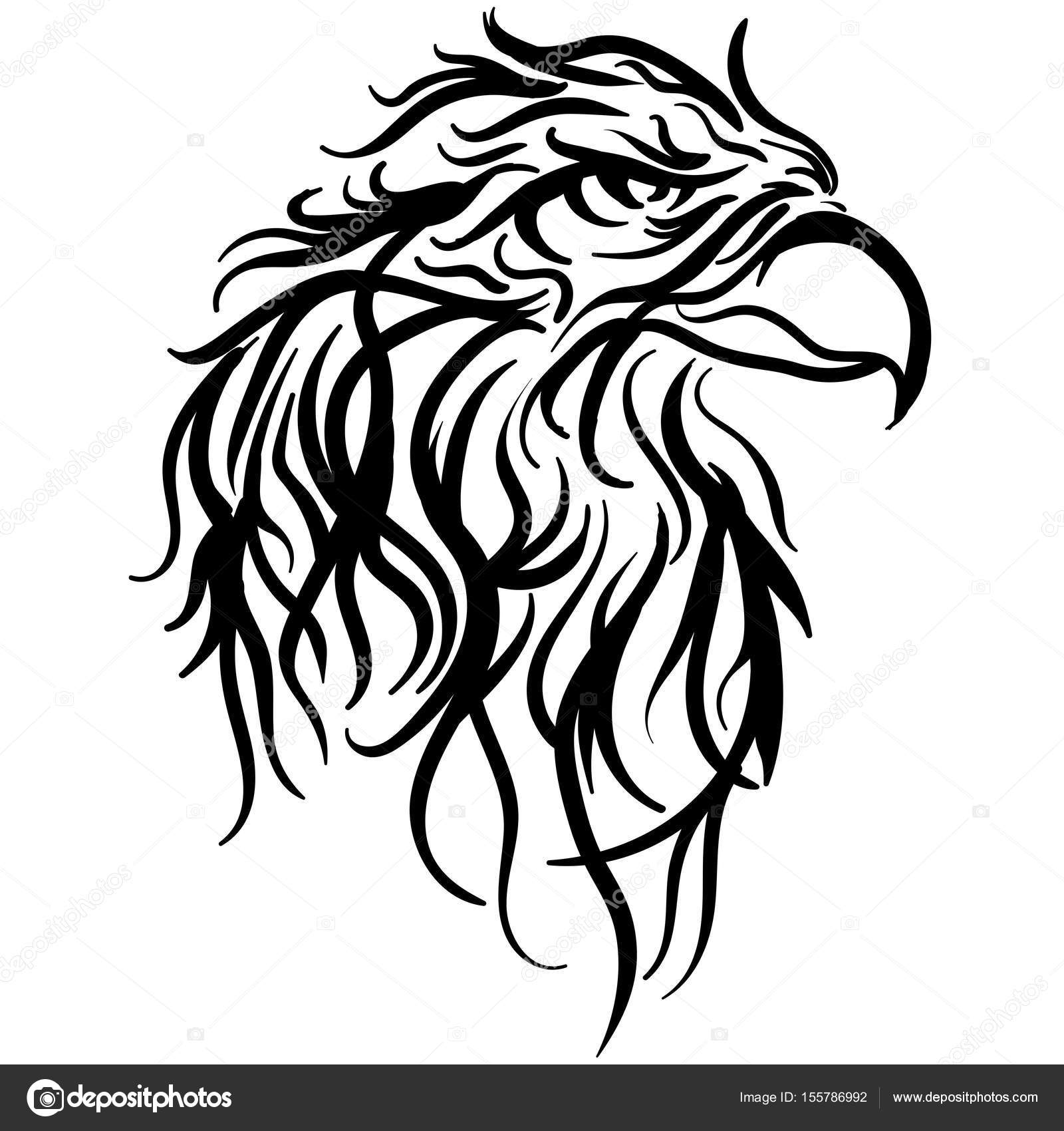 1600x1700 Bald Eagle Head Vector Illustration Sketch Stock Vector