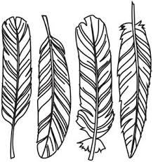 218x231 Image Result For Bald Eagle Feather Drawing Feathers