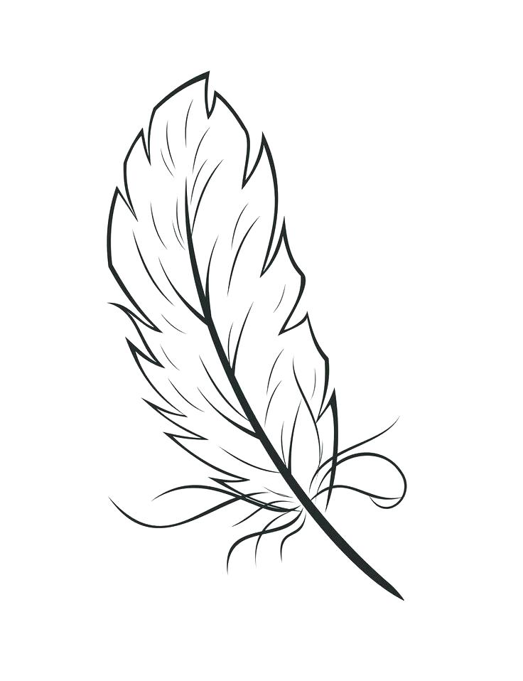 736x958 Feather Coloring Page