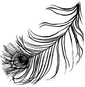 292x300 Peacock Artwork