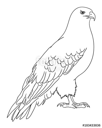 397x500 Eagle Line Art 10. Good Use For Symbol, Logo, Web Icon, Mascot