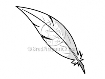350x263 Feather Feathers Feathers And Cartoon