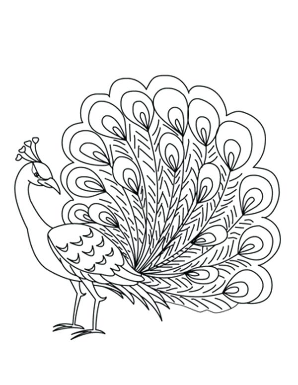 600x775 Feather Coloring Page Packed With Coloring Page Fantasy Feathers