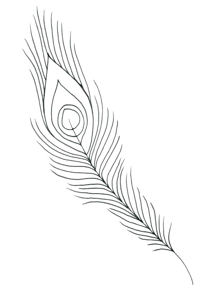 697x1024 Feather Coloring Pages Peacock Abstract Feather Coloring Pages