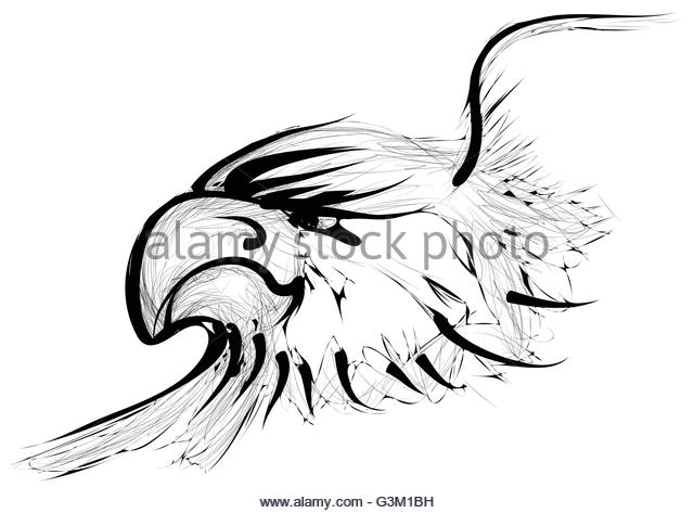 640x473 Golden Eagle Black And White Stock Photos Amp Images