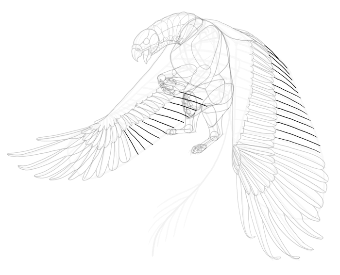 700x567 How To Draw A Griffin