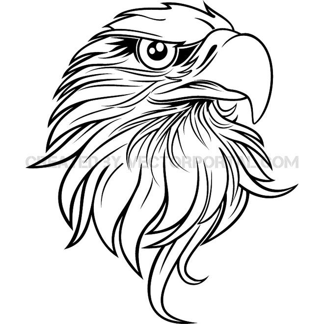 660x660 Eagle Black And White Free Vector Free Vectors