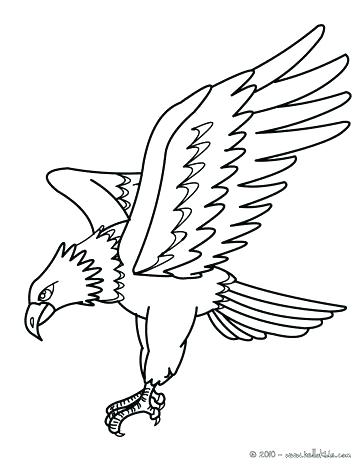364x470 Eagle Color Page Drawing Flying Eagle Coloring Page Harpy Eagle
