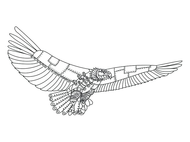 800x600 Eagle Coloring Book As Well As Eagle Coloring Book Isolated