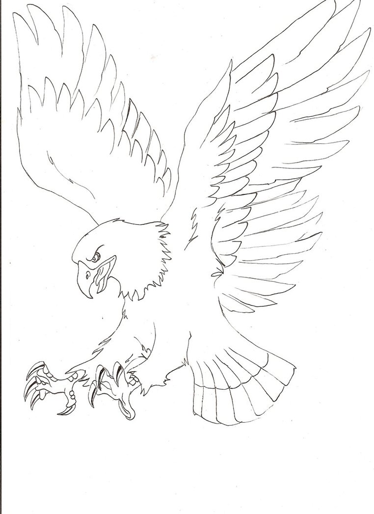 762x1047 Flying Eagle Line Drawing
