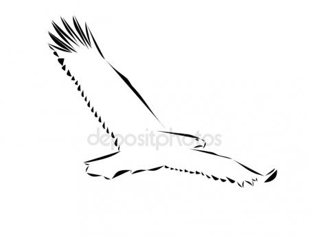 450x344 Freehand Sketch Of Flying Eagle. Stock Vector Lookus