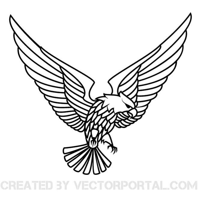 660x660 The Best Eagle Vector Ideas On Eagle Head, Eagle