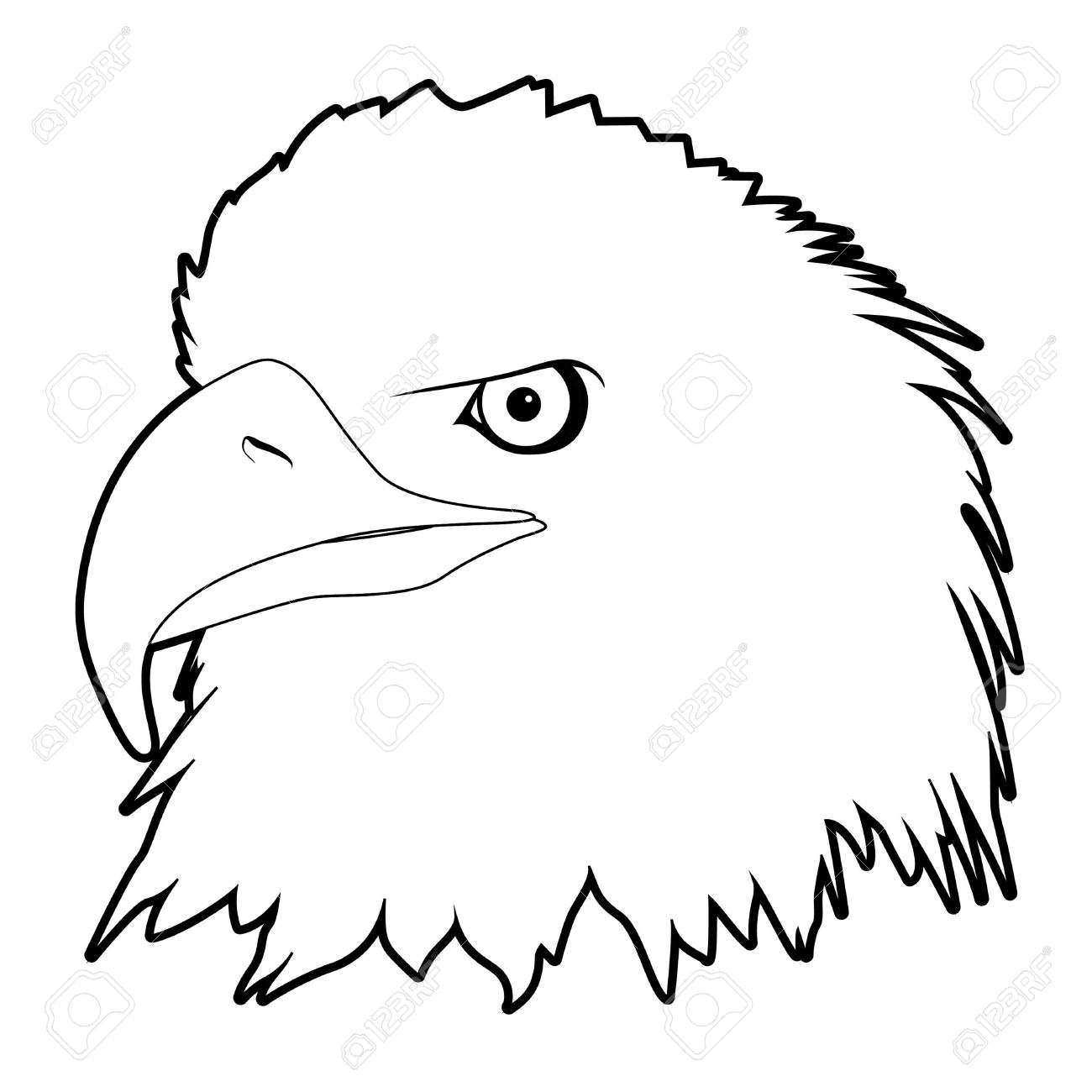 1300x1300 Drawn Eagle Eagle Head