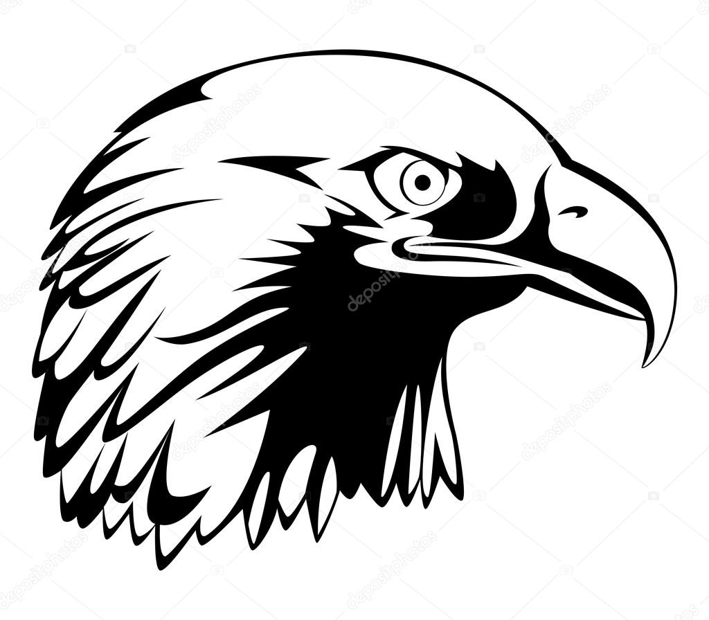 1024x896 Eagle Head Mascot Stock Vector Rudall30