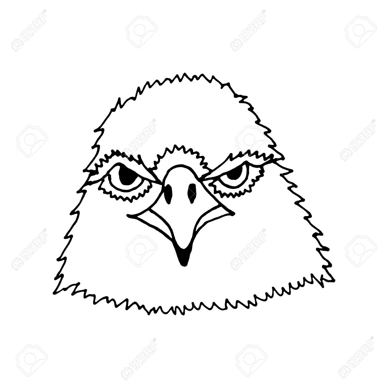 1300x1300 Hand Draw Eagle's Head In The Style Of The Sketch, On Black