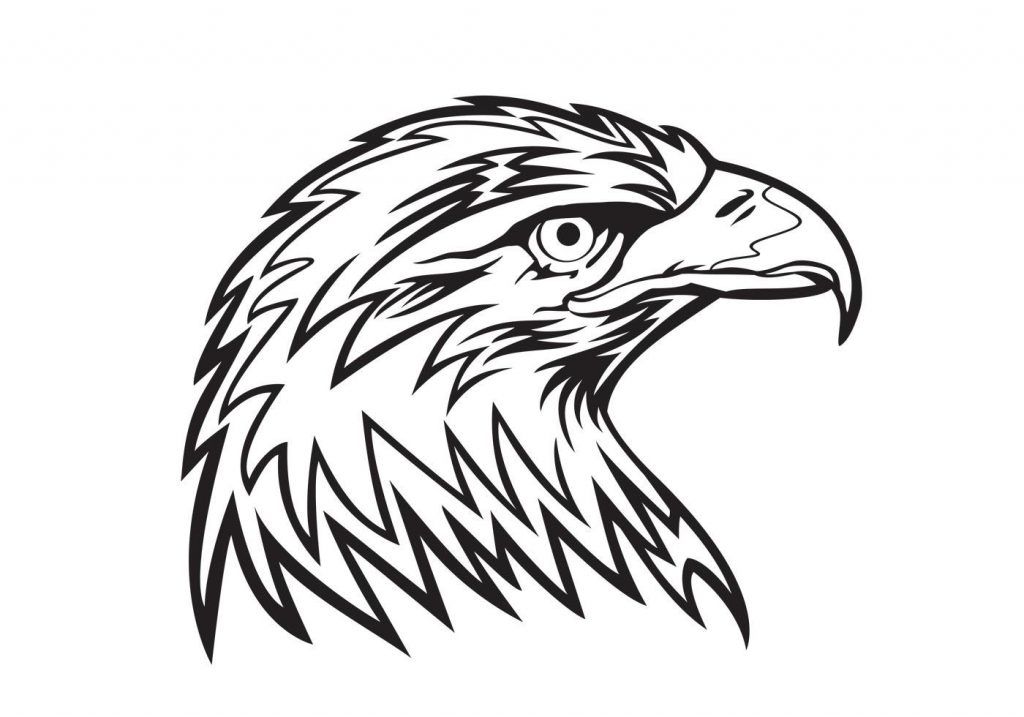 1024x717 Best Free Eagle Head Vector Images