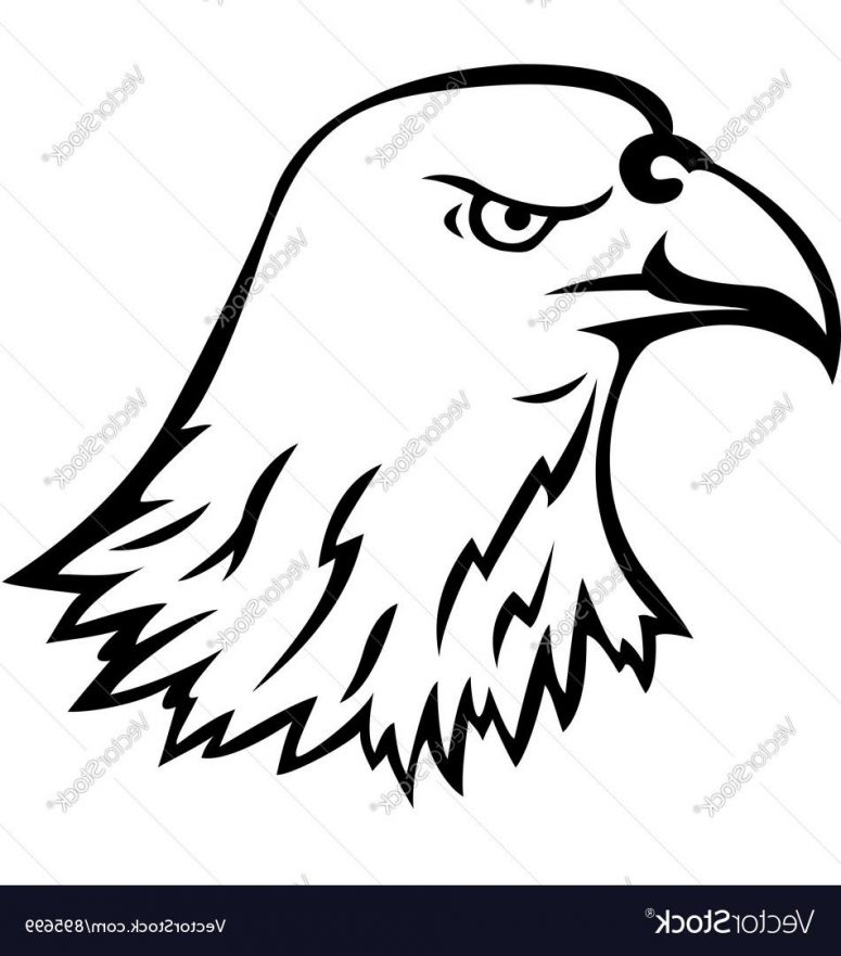 775x881 Best Hd Bald Eagle Head Tattoo Vector Photos Vector Images