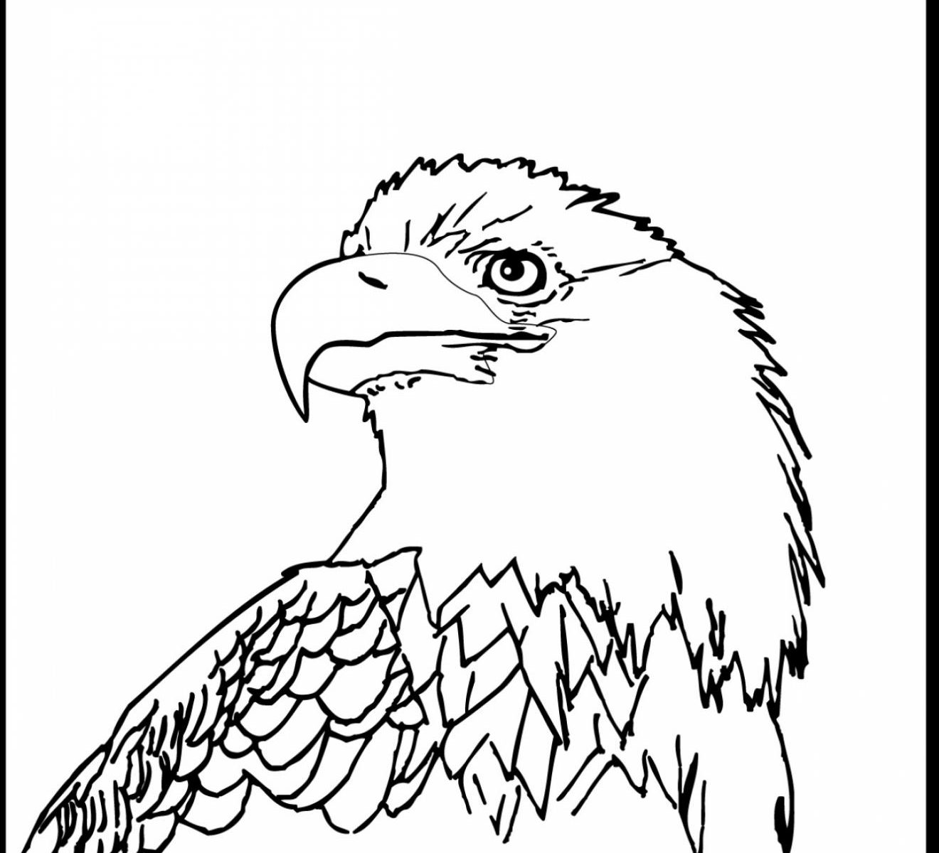 1320x1200 Draw Bald Eagle Colorings With Additional Us Flag Birds Coloring