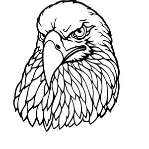 300x300 Eagle Head Looking Forward Car Decal Sticker Ebay