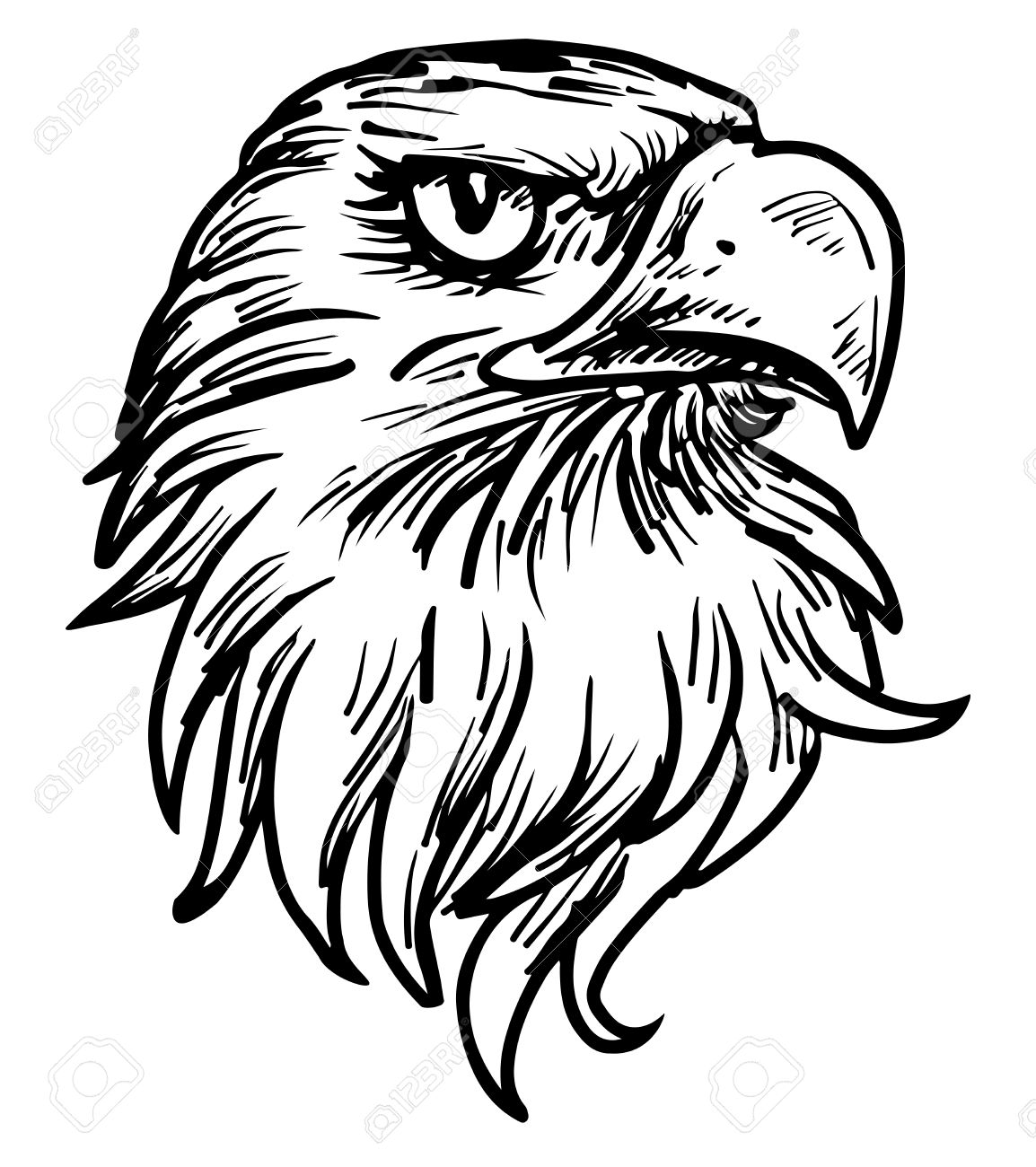 1154x1300 Hand Drawn Eagle Head Royalty Free Cliparts, Vectors, And Stock
