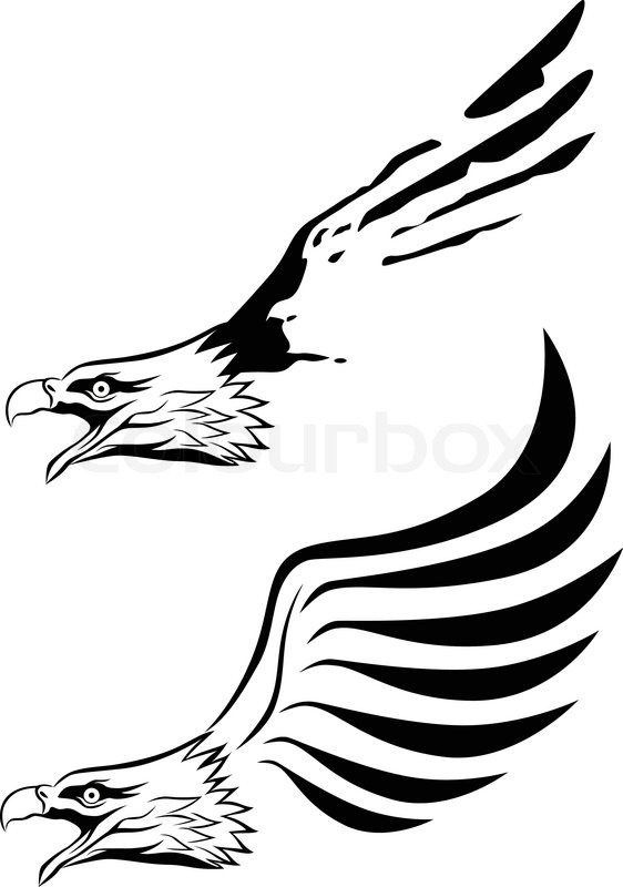 562x800 Vector Illustration Of Eagle Head Stock Vector Colourbox