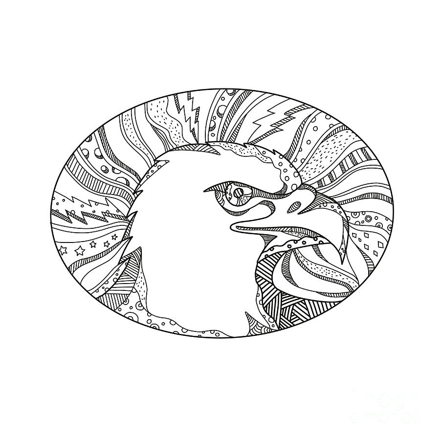 900x900 Bald Eagle Head Doodle Art Digital Art By Aloysius Patrimonio