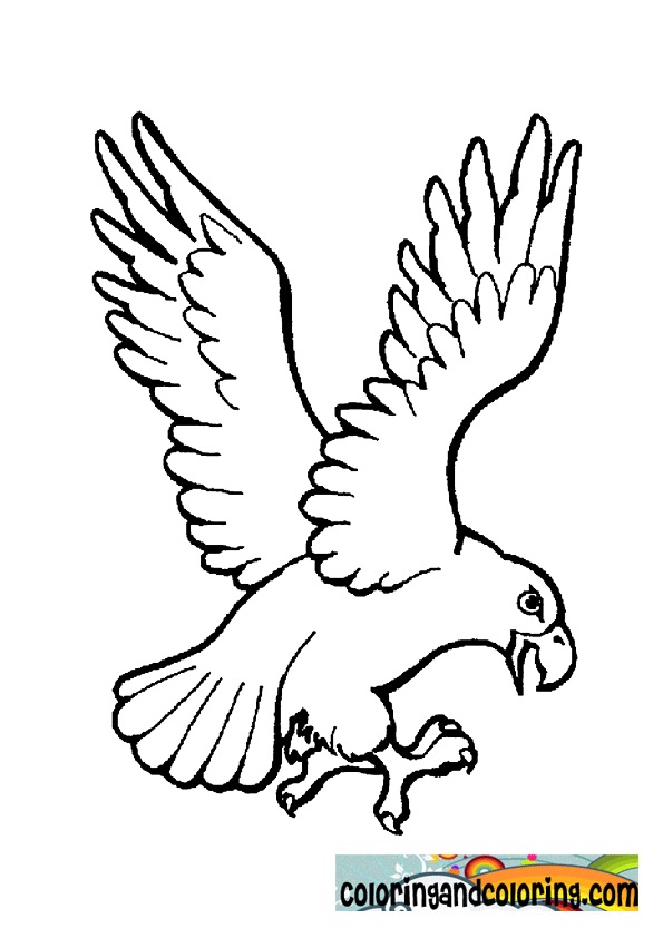 595x842 Eagle Coloring Pages