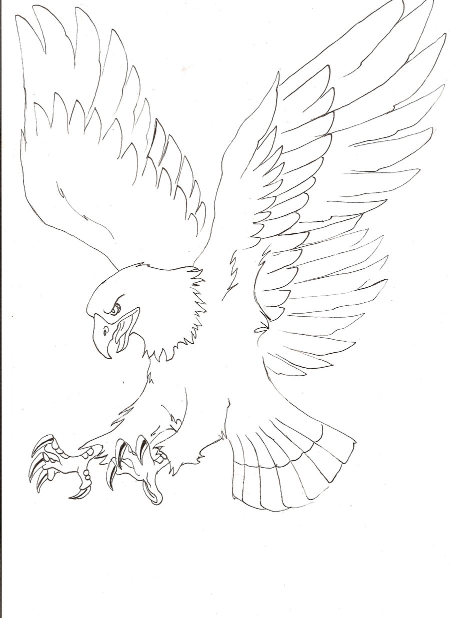 900x1237 Easy Flying Eagle Drawing