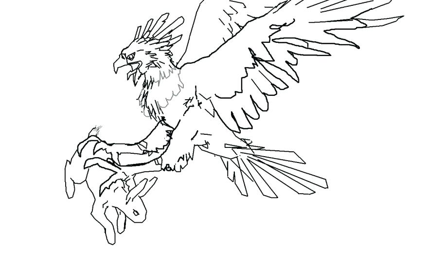 878x520 Bald Eagle Coloring Page Also Image Pages Bal On Eagle Color Page
