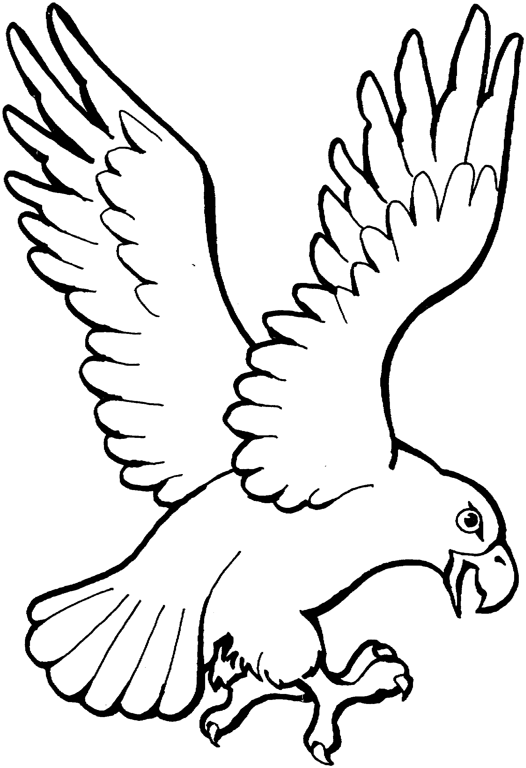 1685x2459 Free Eagle Coloring Pages