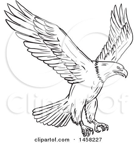 450x470 Royalty Free Eagle Illustrations By Patrimonio Page 1