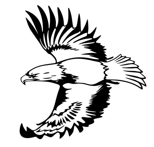 610x583 The Best Eagle Silhouette Ideas On Eagle Drawing