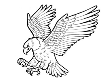 342x277 Eagle In Flight Stencil Raptor Art Inspiration