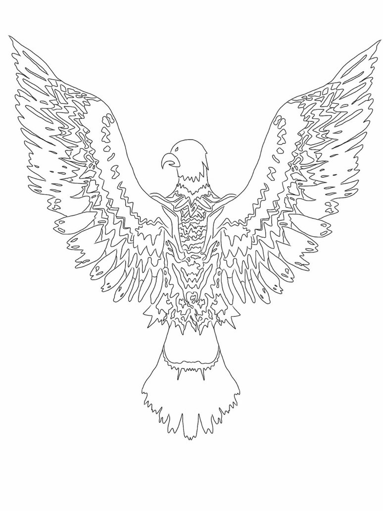 774x1032 Eagle Line Art By Ladymonet23