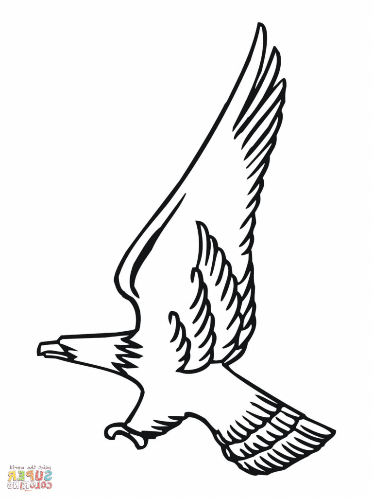 768x1024 Easy Eagle Drawings