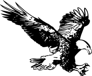 298x246 Hunting Eagle Sketch Clip Art