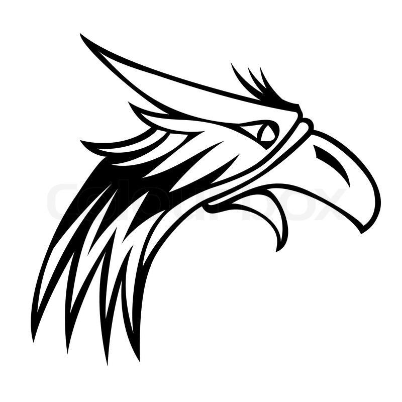 800x800 Eagle Isolated On White Background For Mascot Or Emblem Design