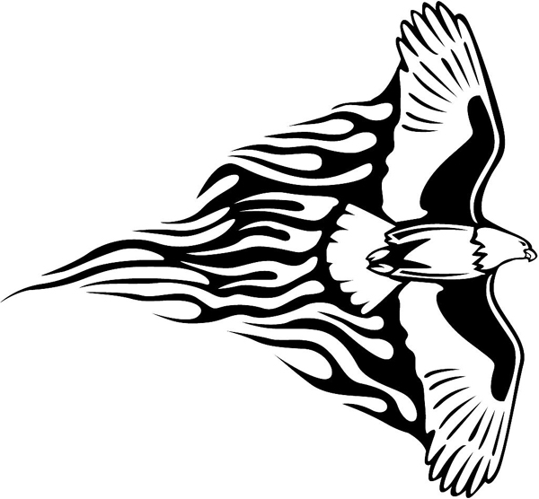 600x556 General Decals