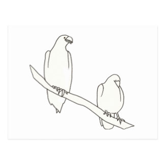 324x324 Eagle Outline Cards