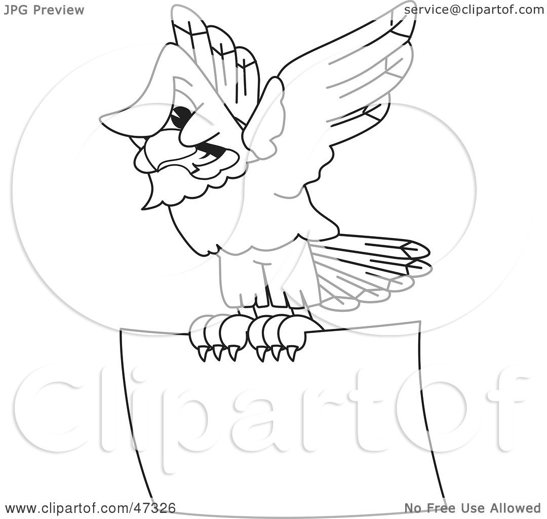 1080x1024 Royalty Free (Rf) Clipart Illustration Of A Bald Eagle Hawk