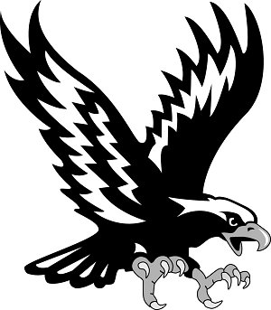 300x343 Drawn Eagle Flying Eagle