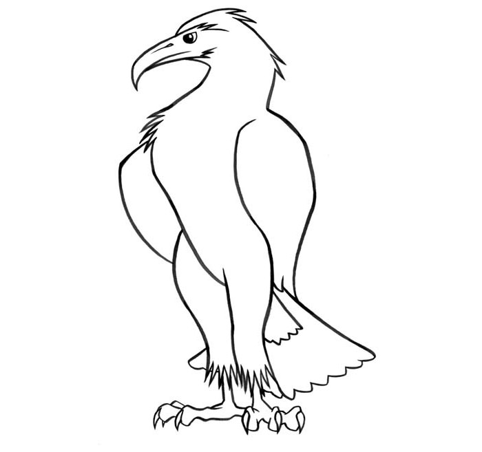 700x657 Drawn Eagle Standing Eagle