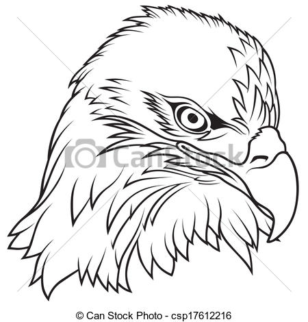 450x470 Bald Eagle Clipart Line Drawing