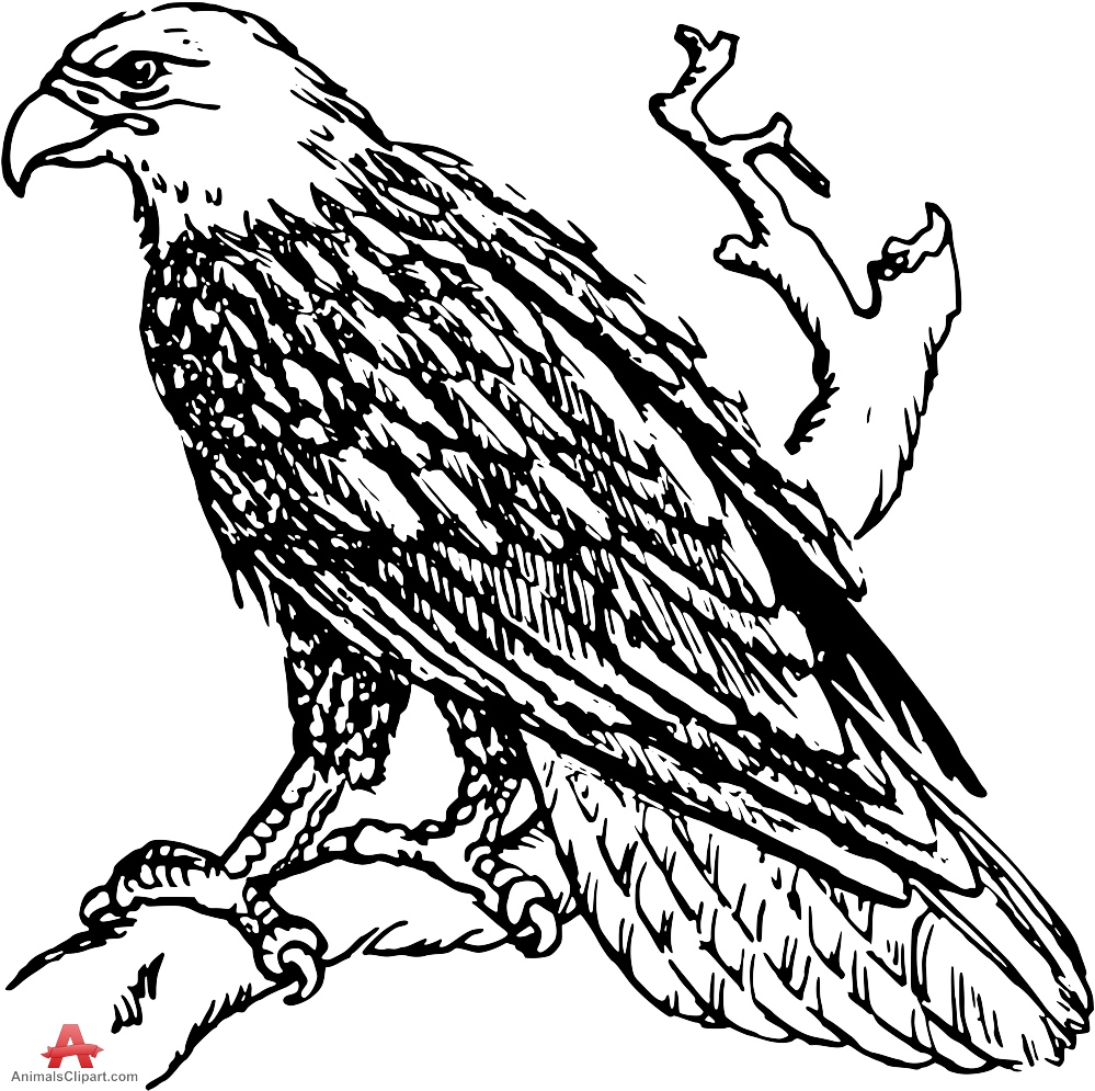 999x995 Drawing Clipart Eagle
