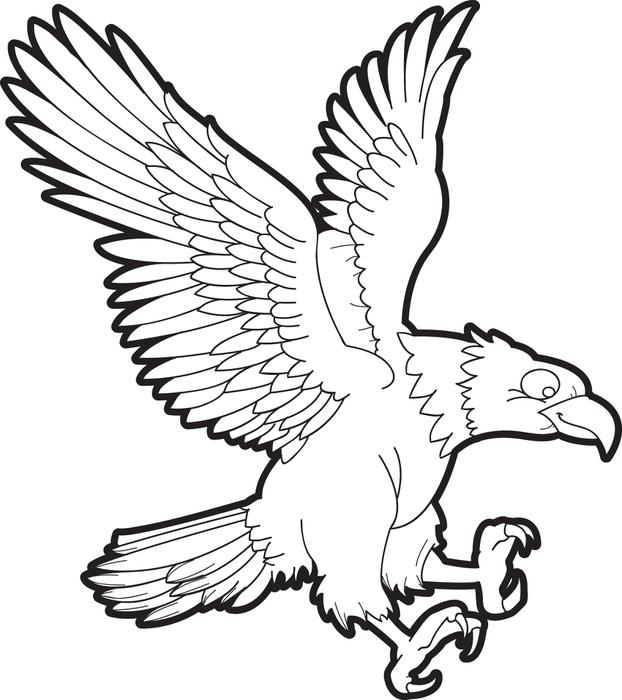 622x700 Free, Printable Bald Eagle Coloring Page For Kids