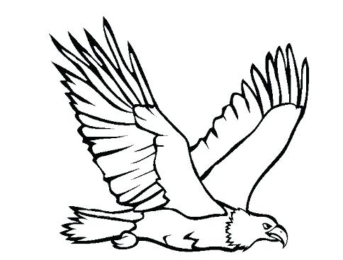 484x367 Bald Eagle Coloring Page Plus Eagle Color Page Simple Eagle