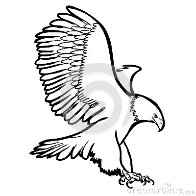 400x400 Drawn Hawk Sketch